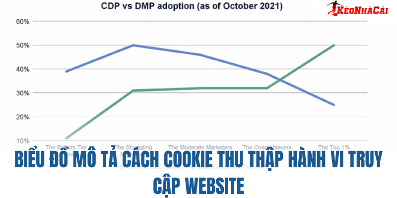 Biểu đồ mô tả cách cookie thu thập hành vi truy cập website