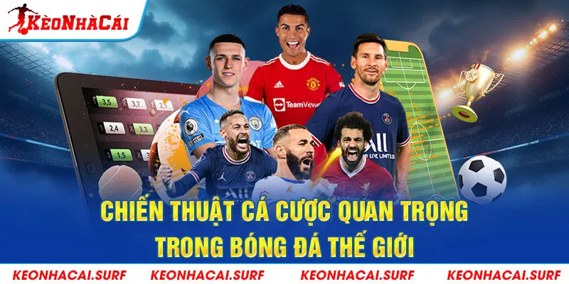 Chiến thuật cá cược hiệu quả khi theo dõi bóng đá thế giới