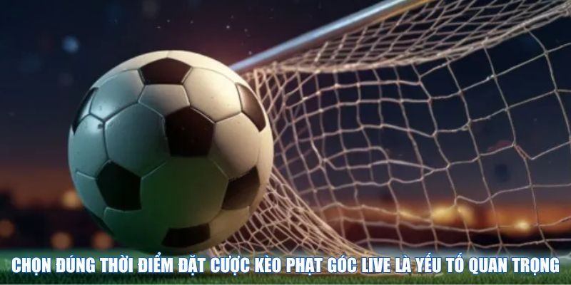 Chọn đúng thời điểm đặt cược kèo phạt góc live là yếu tố quan trọng
