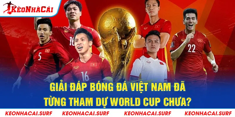 Giải đáp bóng đá Việt Nam đã từng tham dự World Cup chưa?