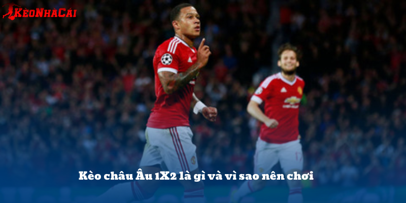 Kèo châu Âu 1X2 phù hợp cho cả người mới lẫn dân chơi lâu năm vì dễ hiểu và ít rủi ro.