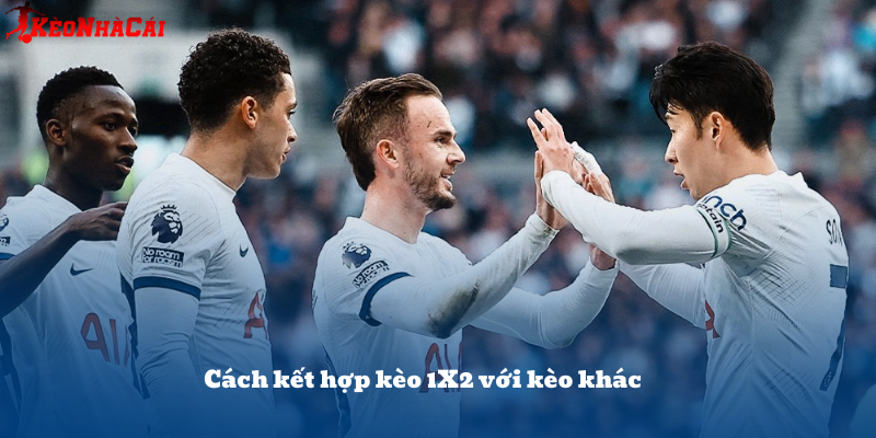 Kèo 1X2 kết hợp với tài xỉu hoặc châu Á giúp người chơi đa dạng hóa vé cược và tăng lợi nhuận.