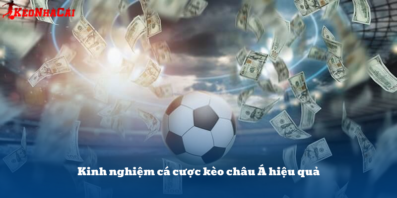 Muốn thắng kèo lâu dài cần chiến lược rõ ràng: theo dõi biến động, chia vốn cược hợp lý và giữ kỷ luật.