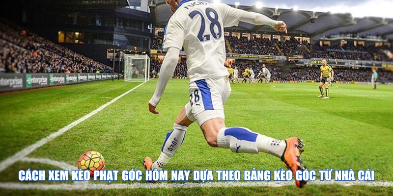 Cách xem kèo phạt góc hôm nay dựa theo bảng kèo góc của nhà cái
