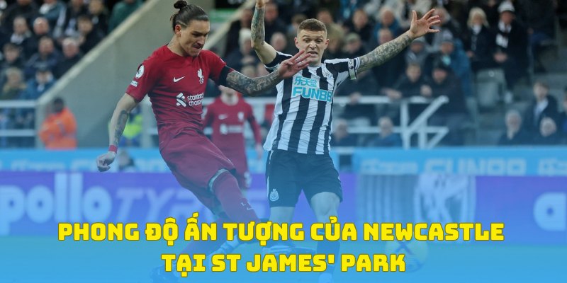 Sức mạnh đáng gờm của Newcastle trên sân St James Park