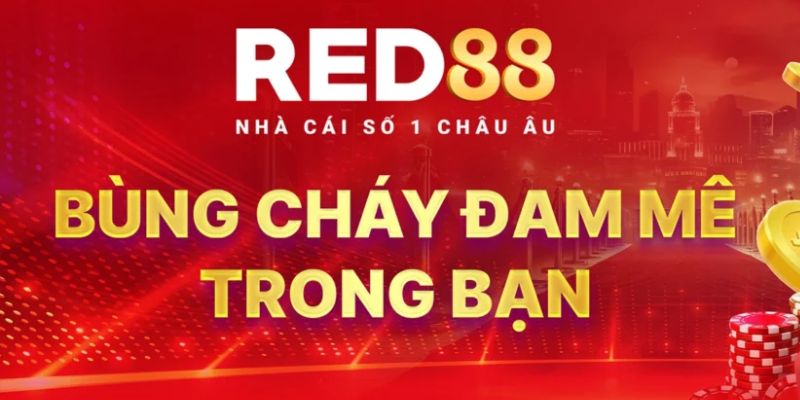 Sơ lược về sân chơi