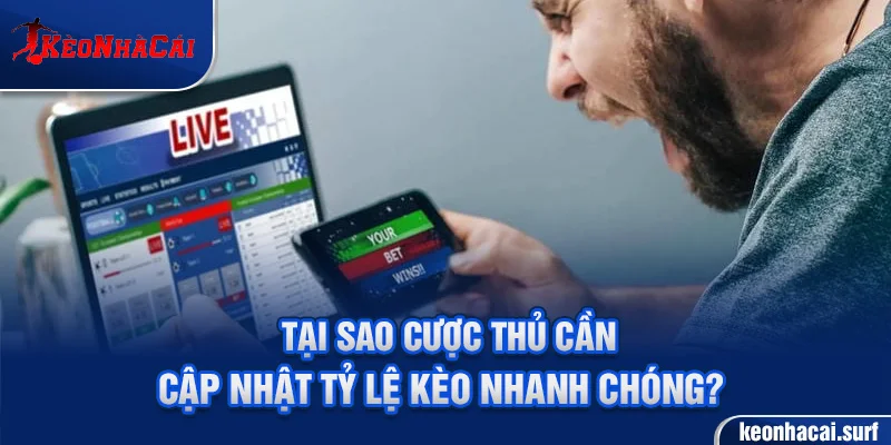 Lý do cược thủ nên cập nhật tỷ lệ kèo nhanh chóng.