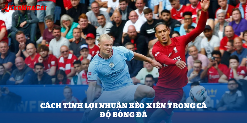 Tỷ lệ ăn cộng dồn của kèo xiên có thể tăng rất nhanh chỉ với 2–3 trận đấu, đặc biệt nếu chọn đúng kèo có odds vừa phải.