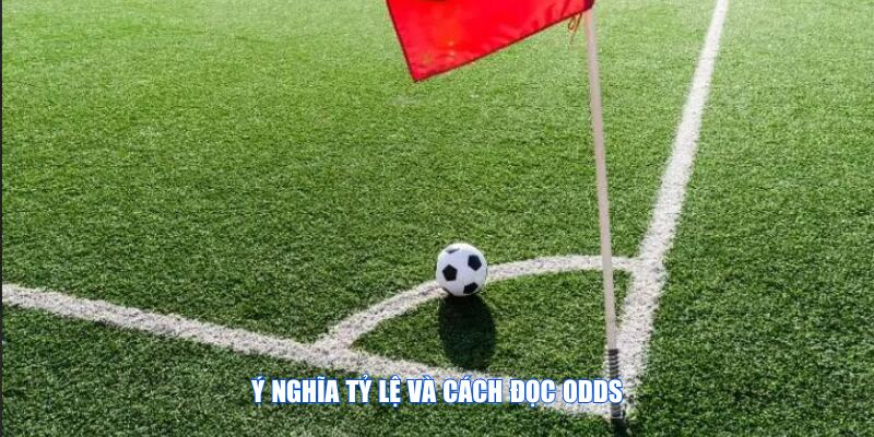 Việc người chơi đọc odds là yếu tố quan trọng